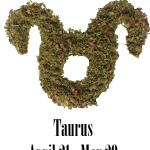 Taurus